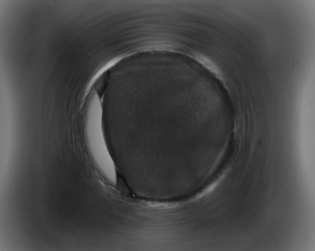 X0000086050877200704131954