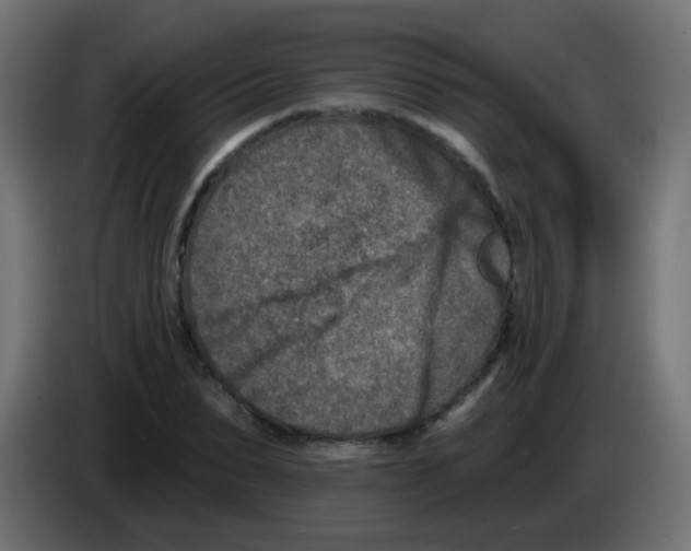 X0000086050879200704131954