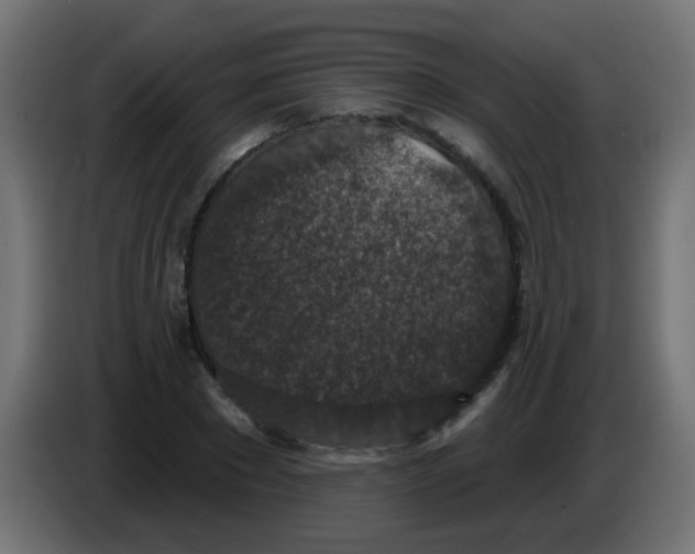X0000086050881200704131954