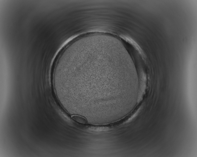 X0000086050884200704131954