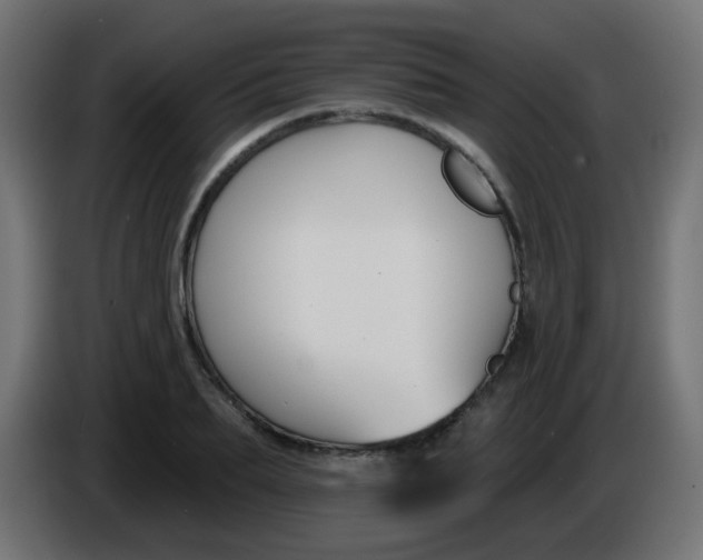 X0000086050887200704131954