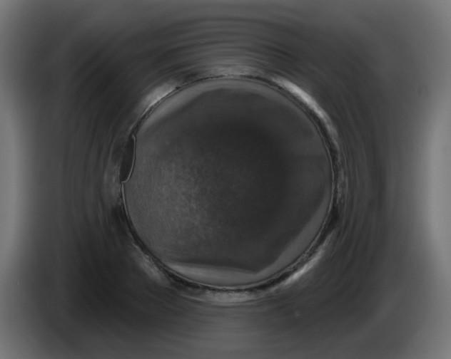 X0000086050889200704131954
