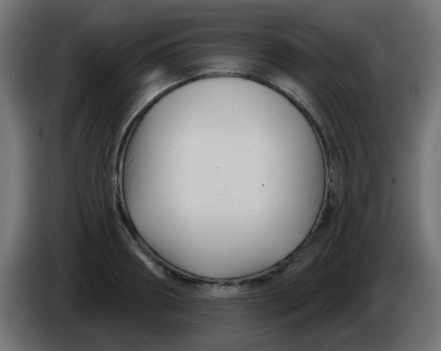 X0000086050890200704131954