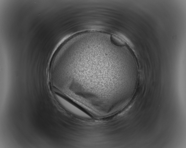 X0000086050891200704131954
