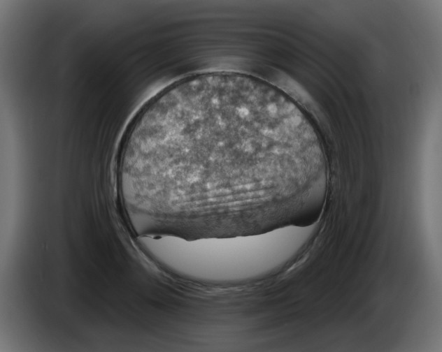 X0000086050892200704131954