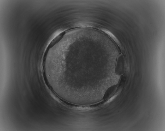X0000086050893200704131954