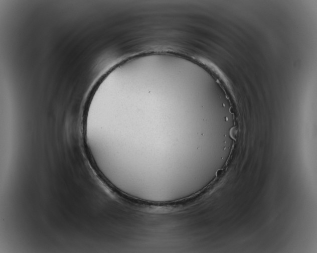 X0000086050894200704131954
