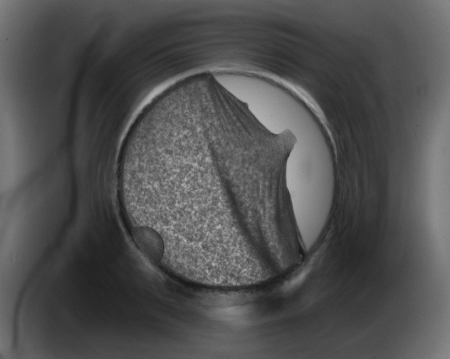 X0000086050895200704131954