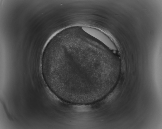 X0000086050896200704131954
