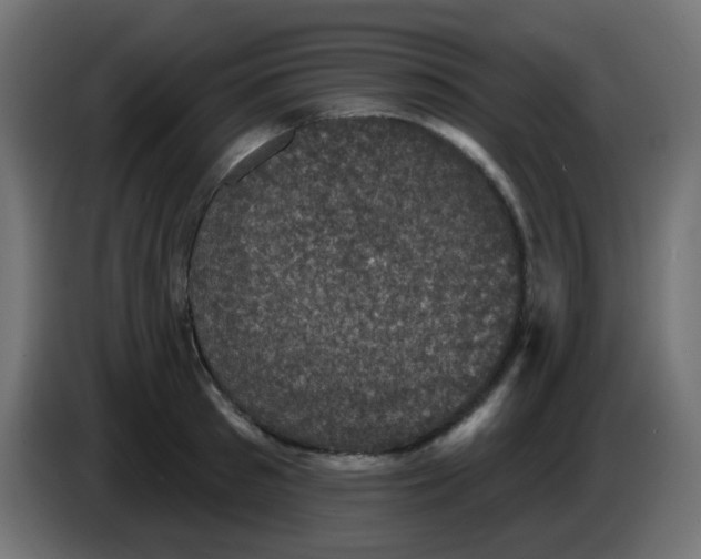 X0000086050897200704131954