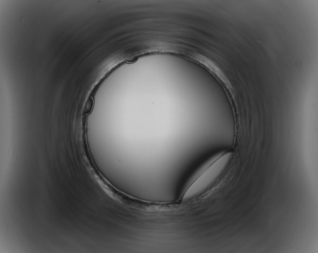 X0000086050898200704131954