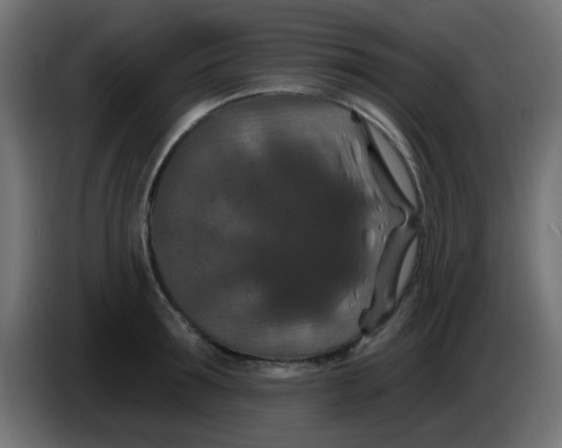 X0000086050899200704131954