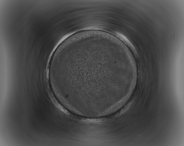 X0000086050900200704131954