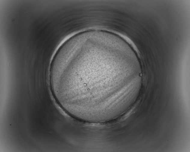 X0000086050903200704131954