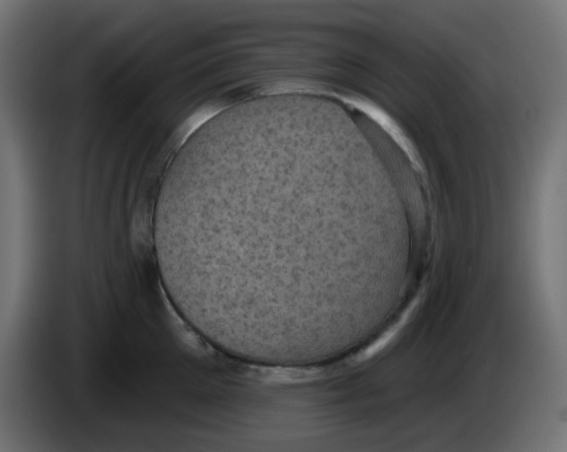X0000086050905200704131953