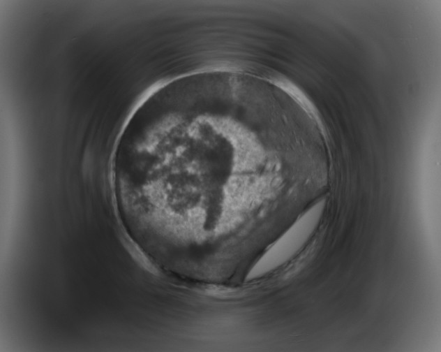 X0000086050907200704131953
