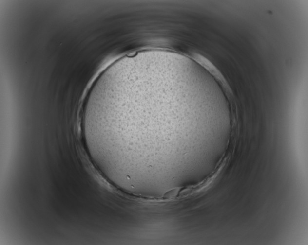 X0000086050908200704131953