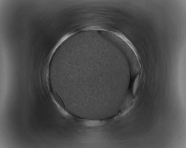 X0000086050909200704131953