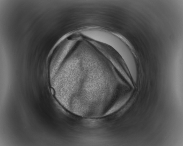 X0000086050910200704131953