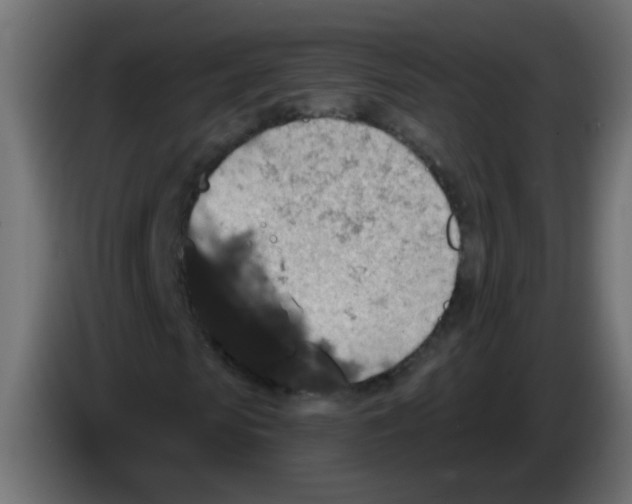 X0000086050913200704131953