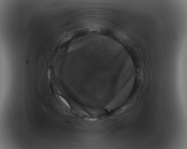 X0000086050916200704131953