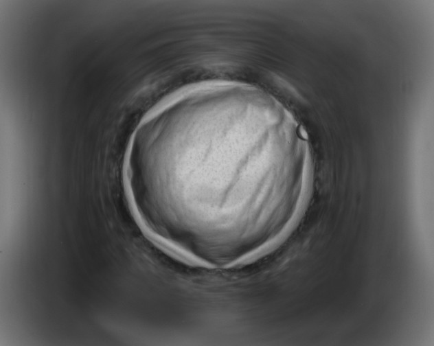 X0000086050917200704131953