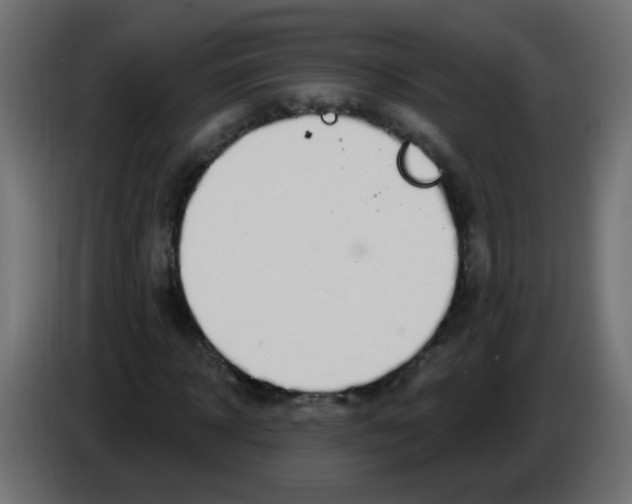 X0000086050918200704131953