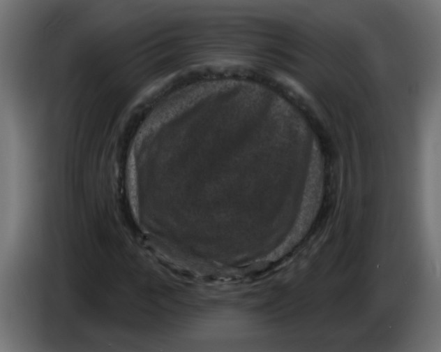 X0000086050919200704131953