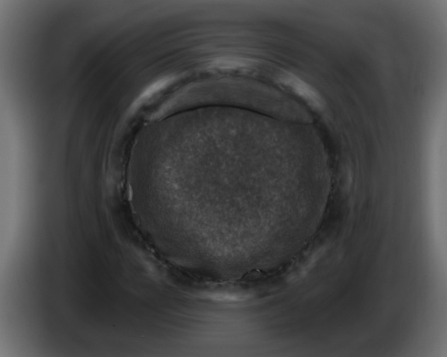 X0000086050920200704131953