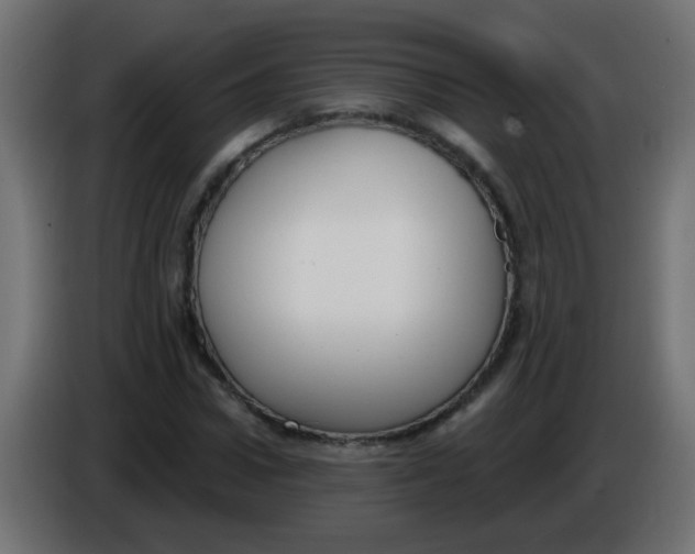 X0000086050922200704131953