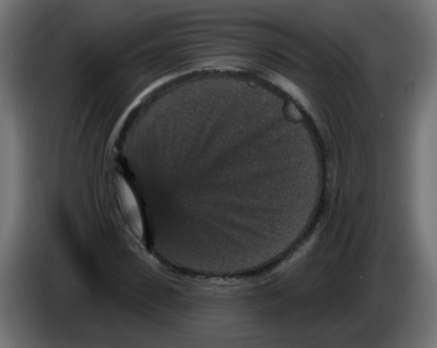 X0000086050923200704131953