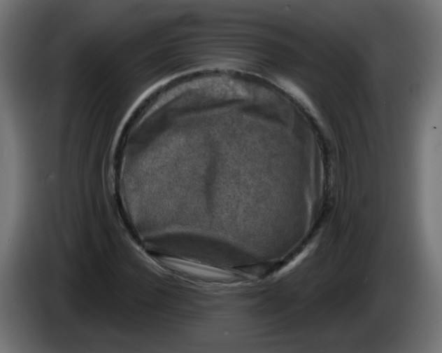 X0000086050924200704131953