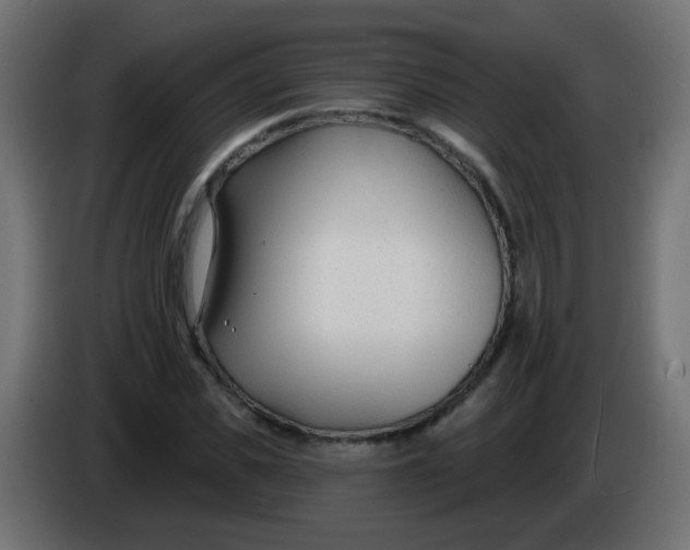 X0000086050925200704131953