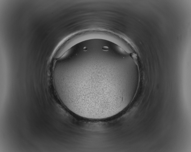 X0000086050926200704131953