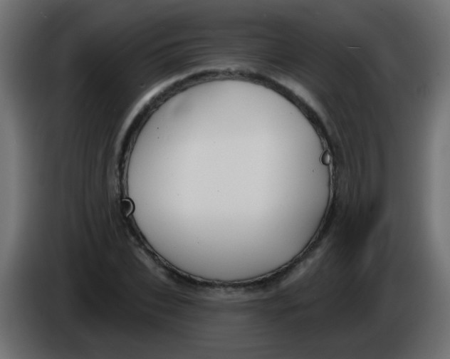 X0000086050927200704131953