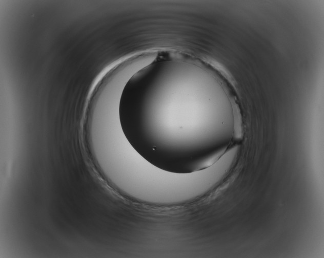X0000086050928200704131953