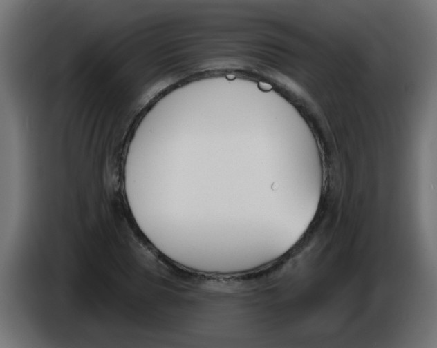 X0000086050929200704131953