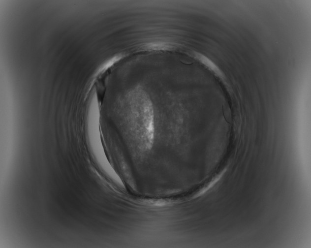X0000086050930200704131953