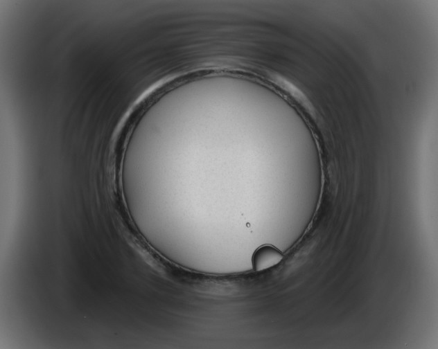 X0000086050931200704131953