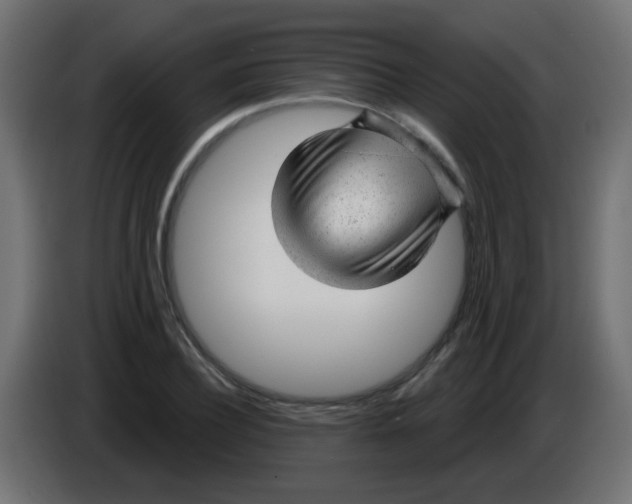X0000086050932200704131953