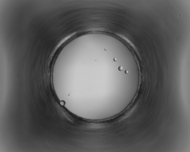 X0000086050933200704131953