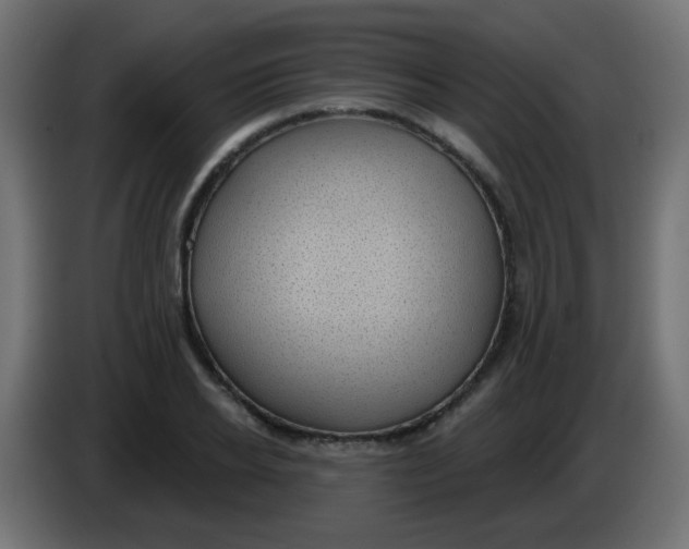 X0000086050934200704131953