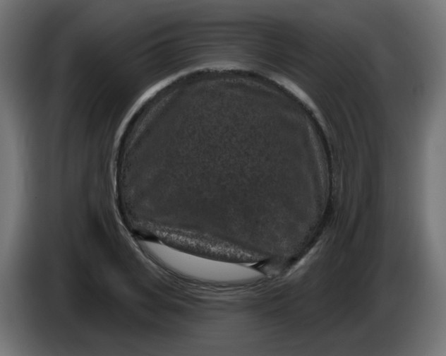 X0000086050935200704131953