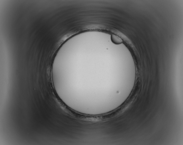 X0000086050937200704131953