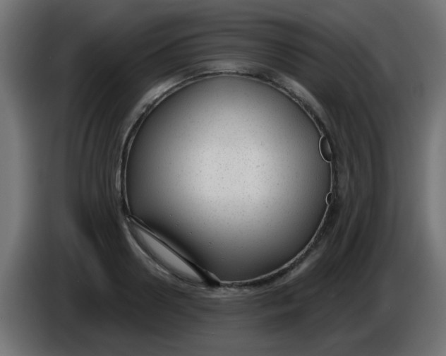 X0000086050938200704131953