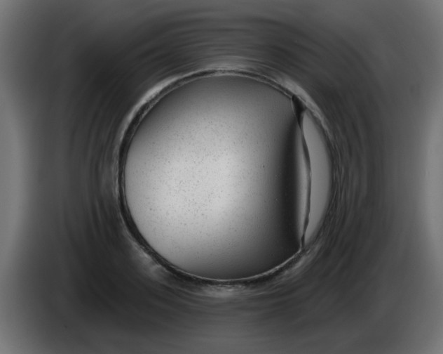X0000086050939200704131953