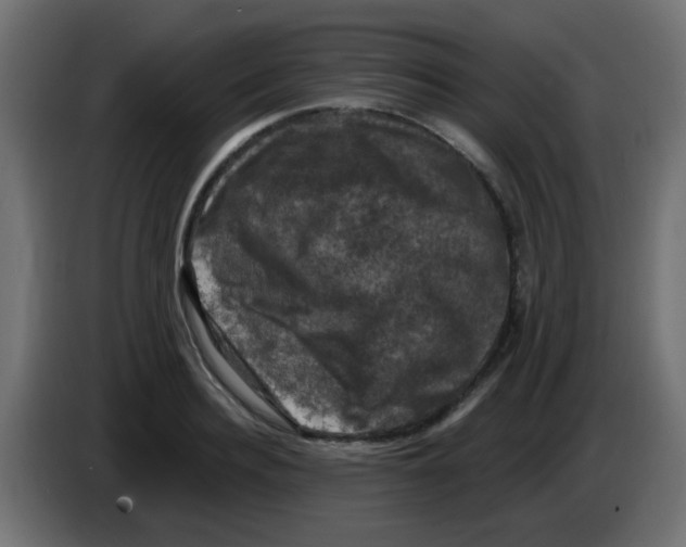 X0000086050940200704131953