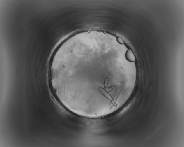 X0000086050941200704131953