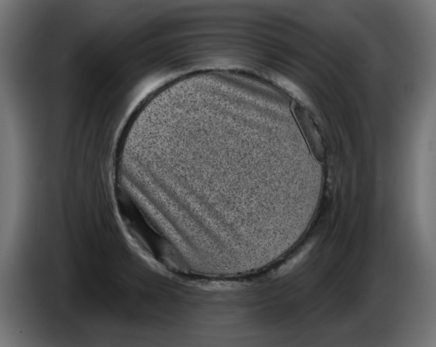 X0000086050942200704131953