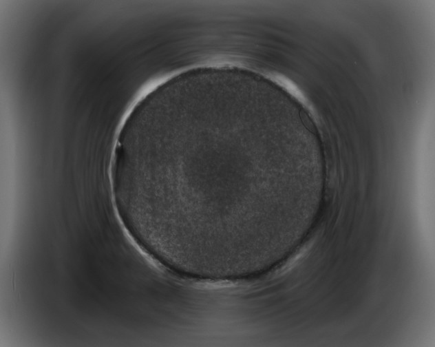 X0000086050943200704131953